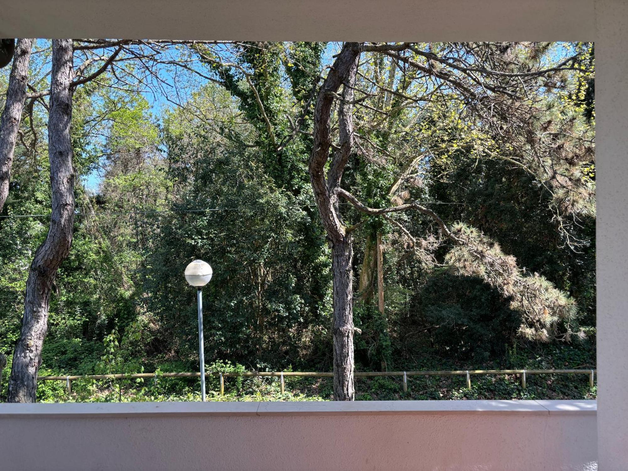 Villa Giorgio 2 Mare E Pineta Бибионе Экстерьер фото